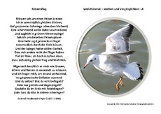Möwenflug-Meyer.pdf
